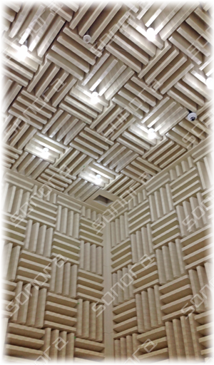 Acoustic Ready-to-Assemble Anechoic Chamber