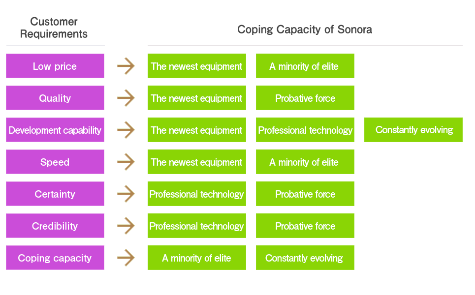 Coping Capacity of Sonora